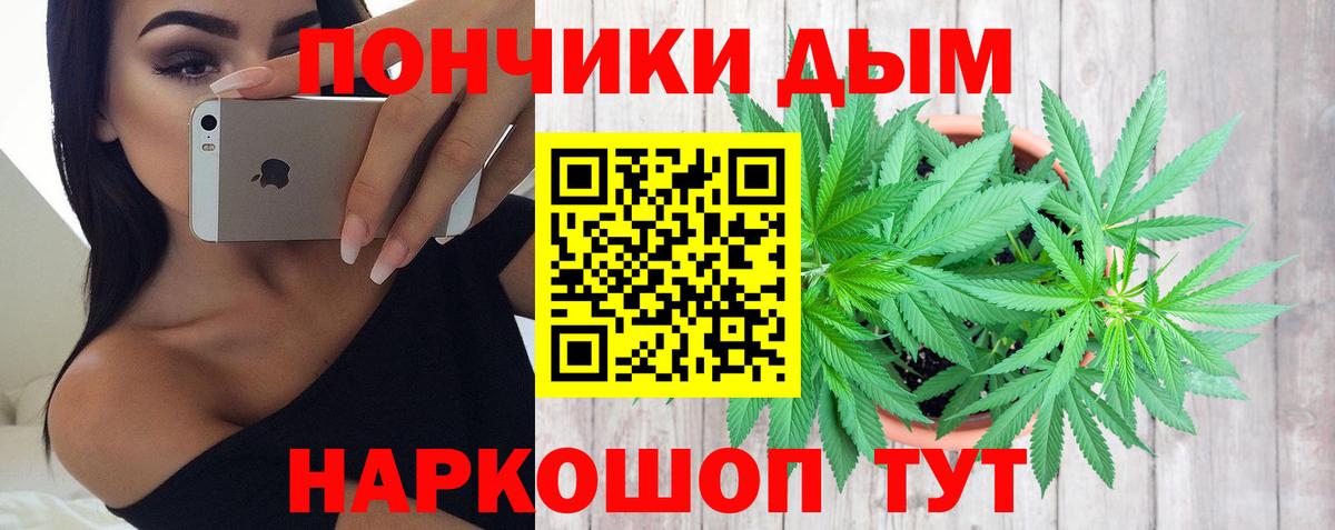 Бошки Шишки семена Щёлково